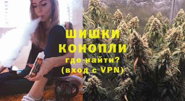 PSILOCYBIN Балабаново