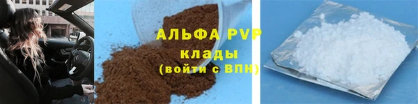 PSILOCYBIN Балабаново
