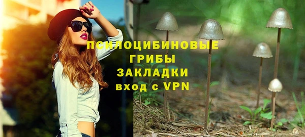 PSILOCYBIN Балабаново