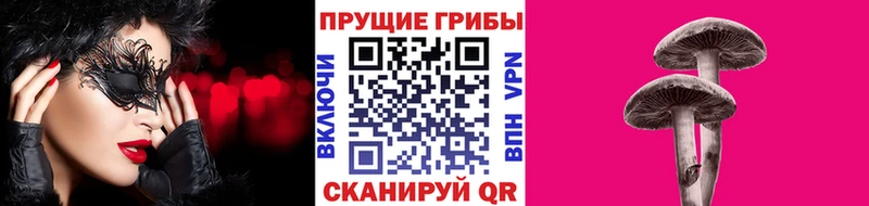 Псилоцибиновые грибы Cubensis  Ясногорск 